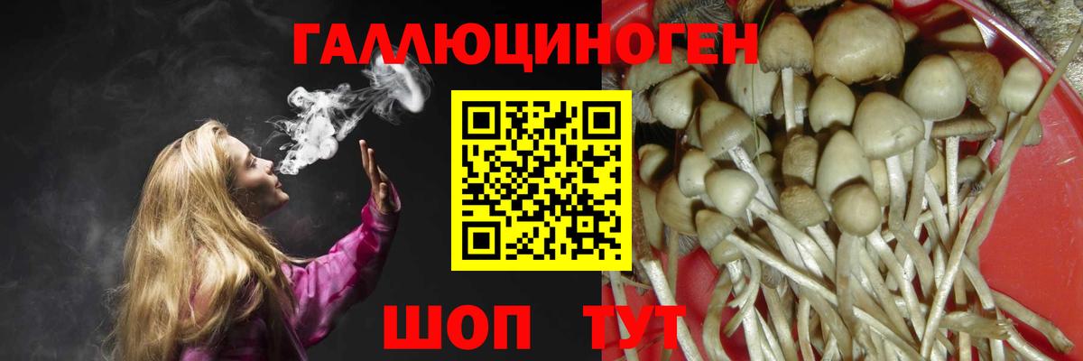 Псилоцибиновые грибы Cubensis Рубцовск
