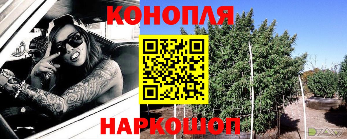 Каннабис планчик Рубцовск